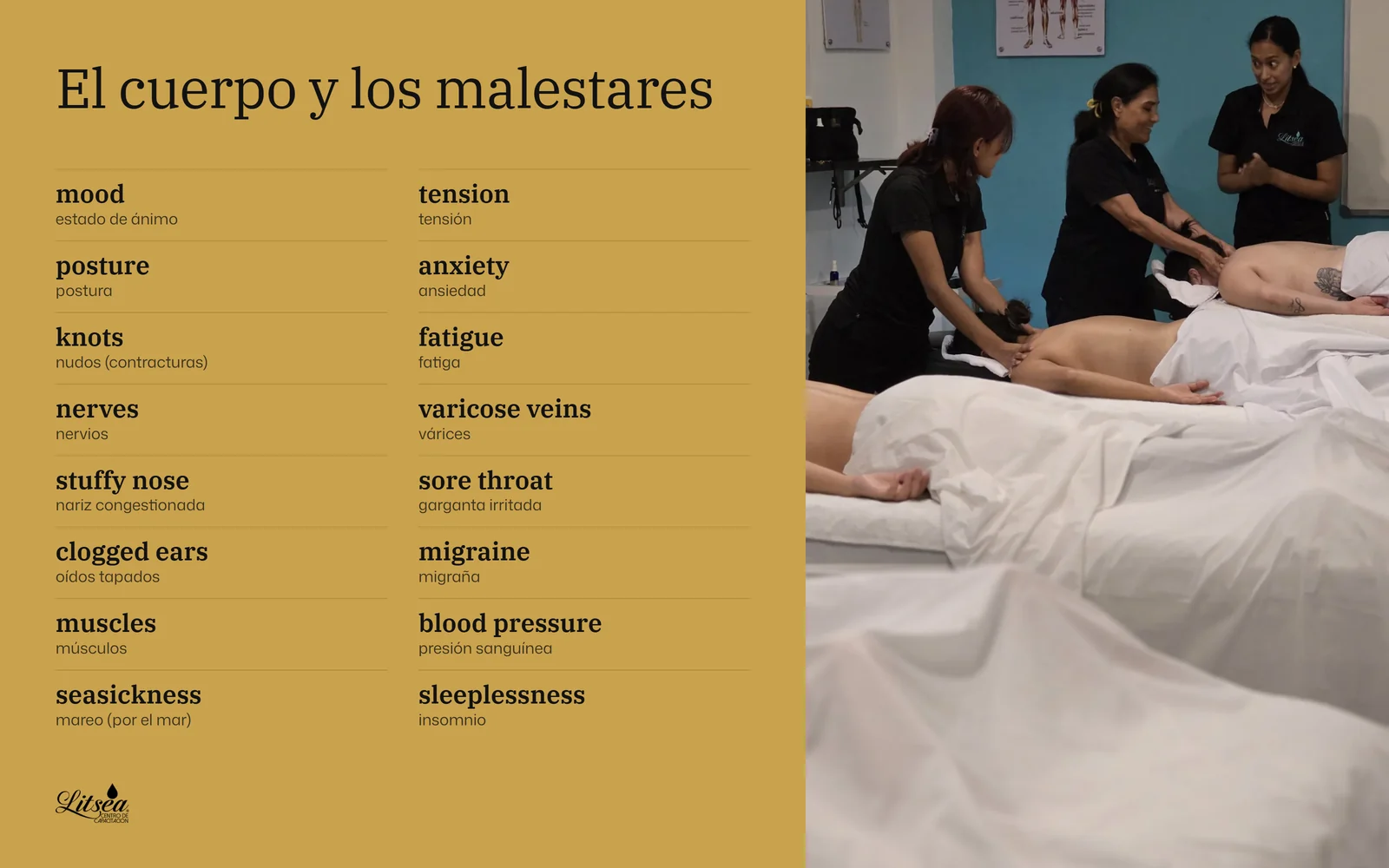 Lámina de inglés para terapeutas de spa: El cuerpo y los malestares